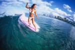 Surfing Plr Articles v2