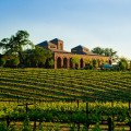 Paso Robles Wineries Plr Articles