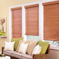 Blinds Plr Articles