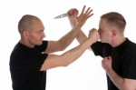 Self Defense Plr Articles v3