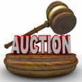 Auctions Plr Articles