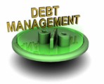 Debt Management Plr Articles v5