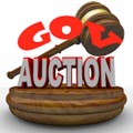 Government Auction Alert Plr Articles