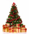 Christmas Plr Articles v3