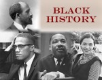 Black History Plr Articles