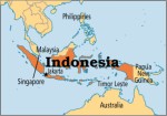 Indonesia Plr Articles