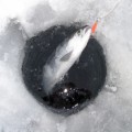 Ice Fishing Plr Articles