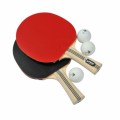 Table Tennis Plr Articles
