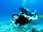 Scuba Diving Plr Articles v2