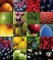 Antioxidants Plr Articles v3