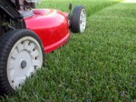 Lawn Care Plr Articles v4