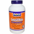 Lecithin Plr Articles