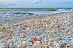 Sanibel Island Plr Articles