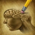 Alzheimer Plr Articles