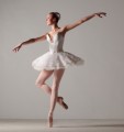 Ballet Plr Articles