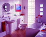 Bathroom Accessories Plr Articles