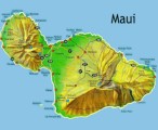 Maui Plr Articles