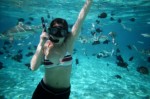 Snorkeling Plr Articles v2