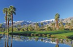 Palm Springs Plr Articles