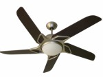 Ceiling Fans Plr Articles