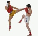 Kickboxing Plr Articles