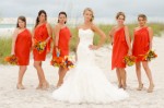 Planning Your Wedding Party Plr Articles