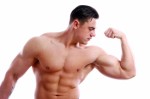 Bodybuilding Plr Articles v2