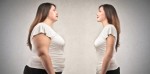 Obesity Plr Articles v2