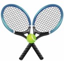 Tennis Plr Articles v3