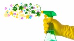 Spring Cleaning Plr Articles