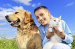 Dog And Cat Plr Articles