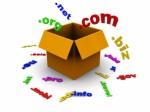 Domain Names Plr Articles v2