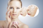 Skin Care Plr Articles