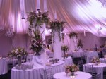 Planning Your Wedding Party Plr Articles v2