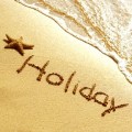 Holidays Plr Articles v2