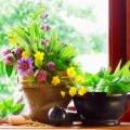 Indoor Gardening Plr Articles