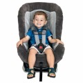 Car Seats Plr Articles