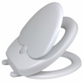 Toilet Seats Plr Articles