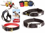 Dog Equipment Plr Articles