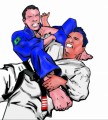 Jiu Jitsu Plr Articles