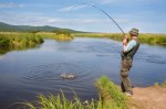 Fishing Plr Articles