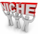 Niche Marketing Plr Articles