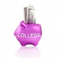 College Savings Plan Exposed Plr Articles