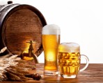 Beer Plr Articles