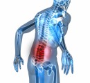 Chiropractic Care Pain Plr Articles