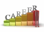 Career Plr Articles