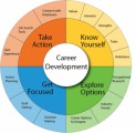 Career Development Plr Articles