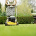 Lawn Care Plr Articles