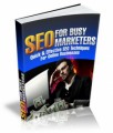 Seo For Busy Marketers Mrr Ebook