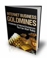 Internet Business Goldmines Mrr Ebook